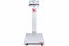 OHAUS D52P6RQDR5 - Товарные платформенные весы с 1 датчиком - 1